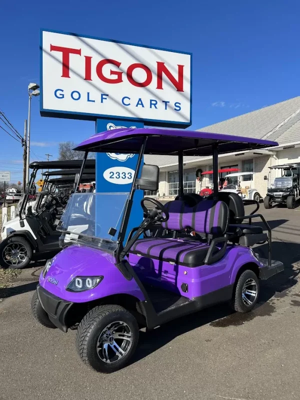 ICON i40 – Purple