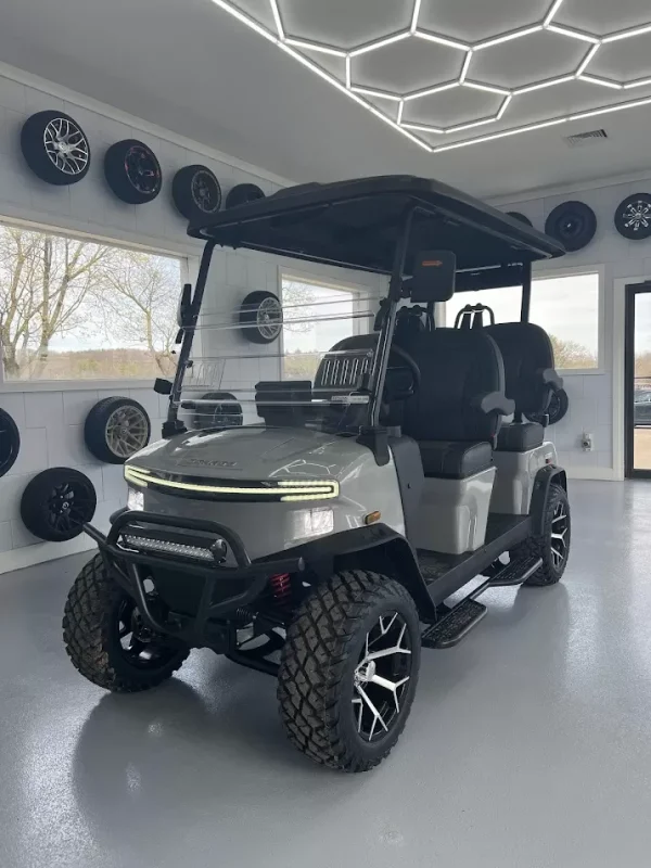 Denago EV Rover XL – Gray