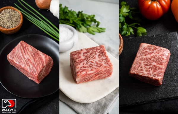 A5 JAPANESE WAGYU STRIPLOIN BLOCK FLIGHT