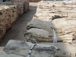 Dry Salted Donkey Hides