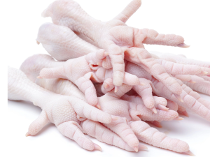 Frozen Chicken Feet Wholesale Top Grade Frozen Chicken Feet Ready For Supply/chicken meat