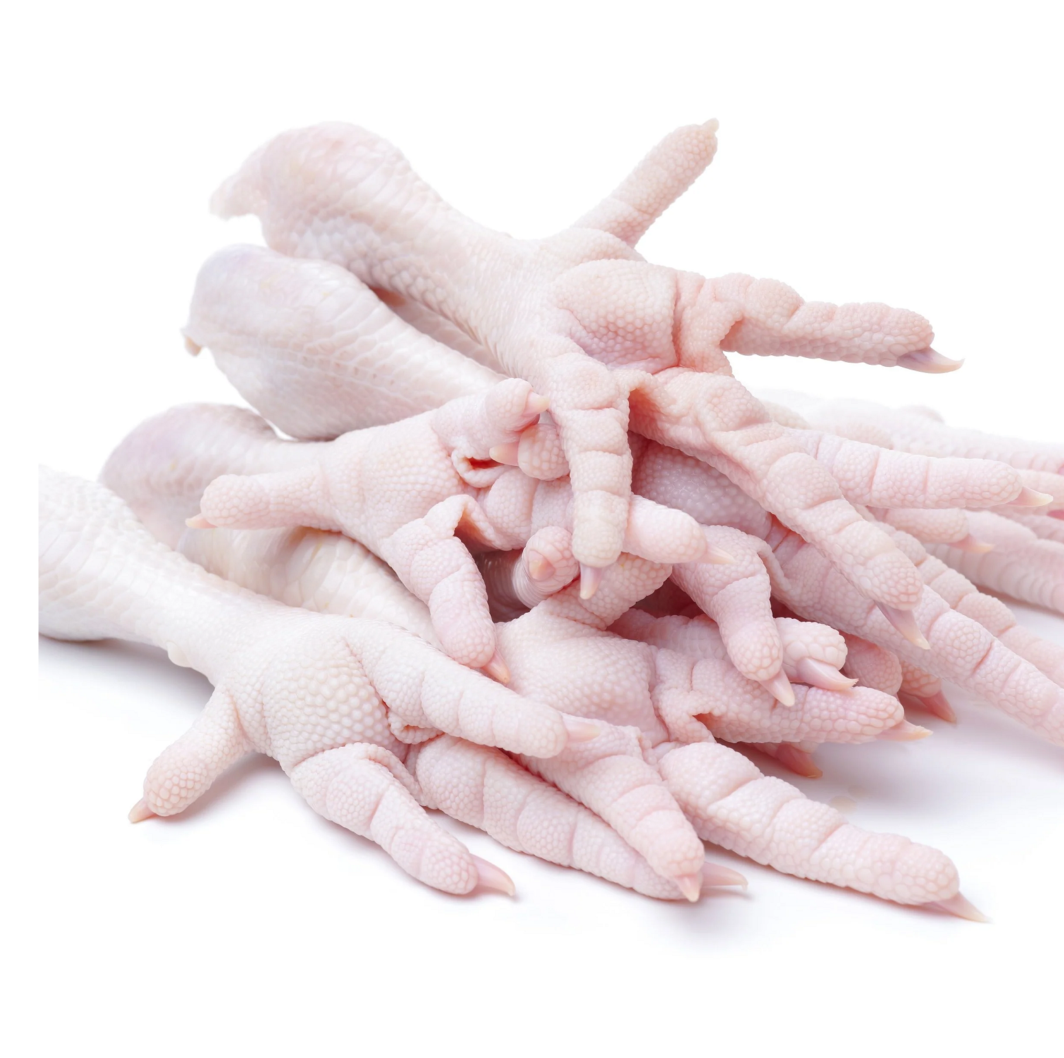 Frozen Chicken Feet Wholesale Top Grade Frozen Chicken Feet Ready For Supply/chicken meat