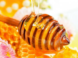 Organic Raw Honey Wholesale