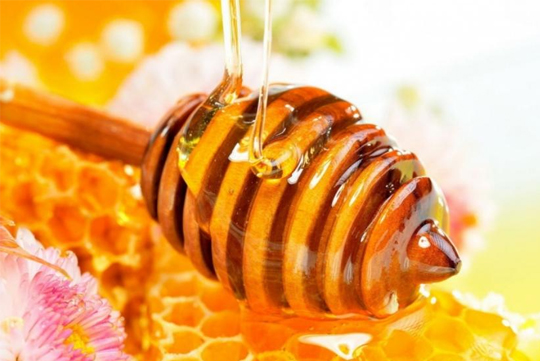Organic Raw Honey Wholesale