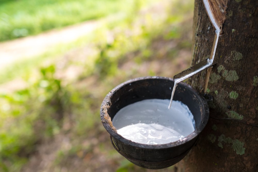 Natural Raw Rubber Latex