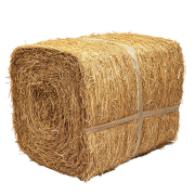 Hay stack